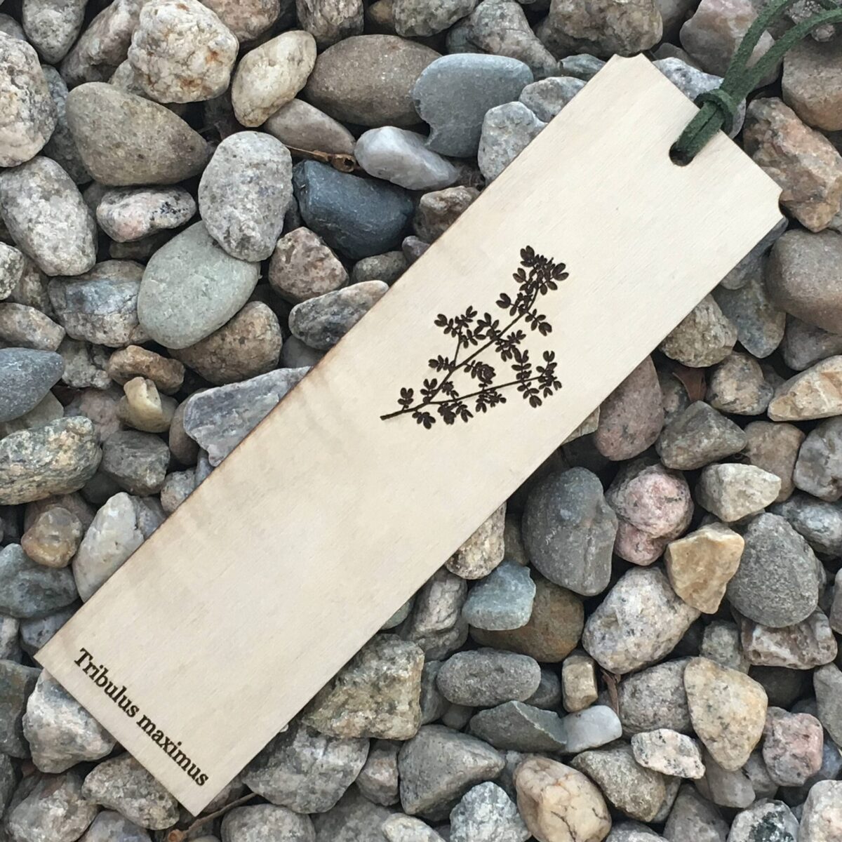 Bookmark - Tribulus Maximus